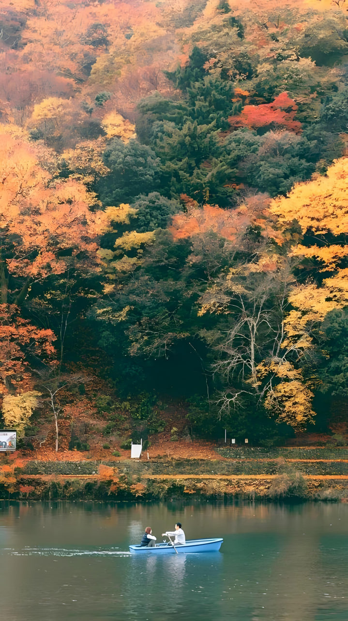 扫码下载APP